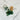 Petite fiole d'Aventurine - Aeternum - Petite fiole d'Aventurine - Aeternum - Petite fiole d'Aventurine - Aeternum - #original_alt_text# - #esoterisme# - #wicca#  - #esoterisme# - #wicca#  - # boutique ésoterisme# - #wicca# 