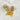 Petite fiole de Citrine - Aeternum - Petite fiole de Citrine - Aeternum - Petite fiole de Citrine - Aeternum - #original_alt_text# - #esoterisme# - #wicca#  - #esoterisme# - #wicca#  - # boutique ésoterisme# - #wicca# 