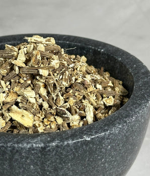 Racine d'Angélique - Aeternum - Racine d'Angélique - # boutique ésoterisme# - #wicca# 