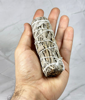 Rouleau Sauge Blanche - Aeternum - Rouleau Sauge Blanche - Aeternum - Rouleau Sauge Blanche - Aeternum -