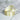 Ruban rituel blanc - Paix - Aeternum - Ruban rituel blanc - Paix - Aeternum - Ruban rituel blanc - Paix - Aeternum - #original_alt_text# - #esoterisme# - #wicca#  - #esoterisme# - #wicca#  - # boutique ésoterisme# - #wicca# 
