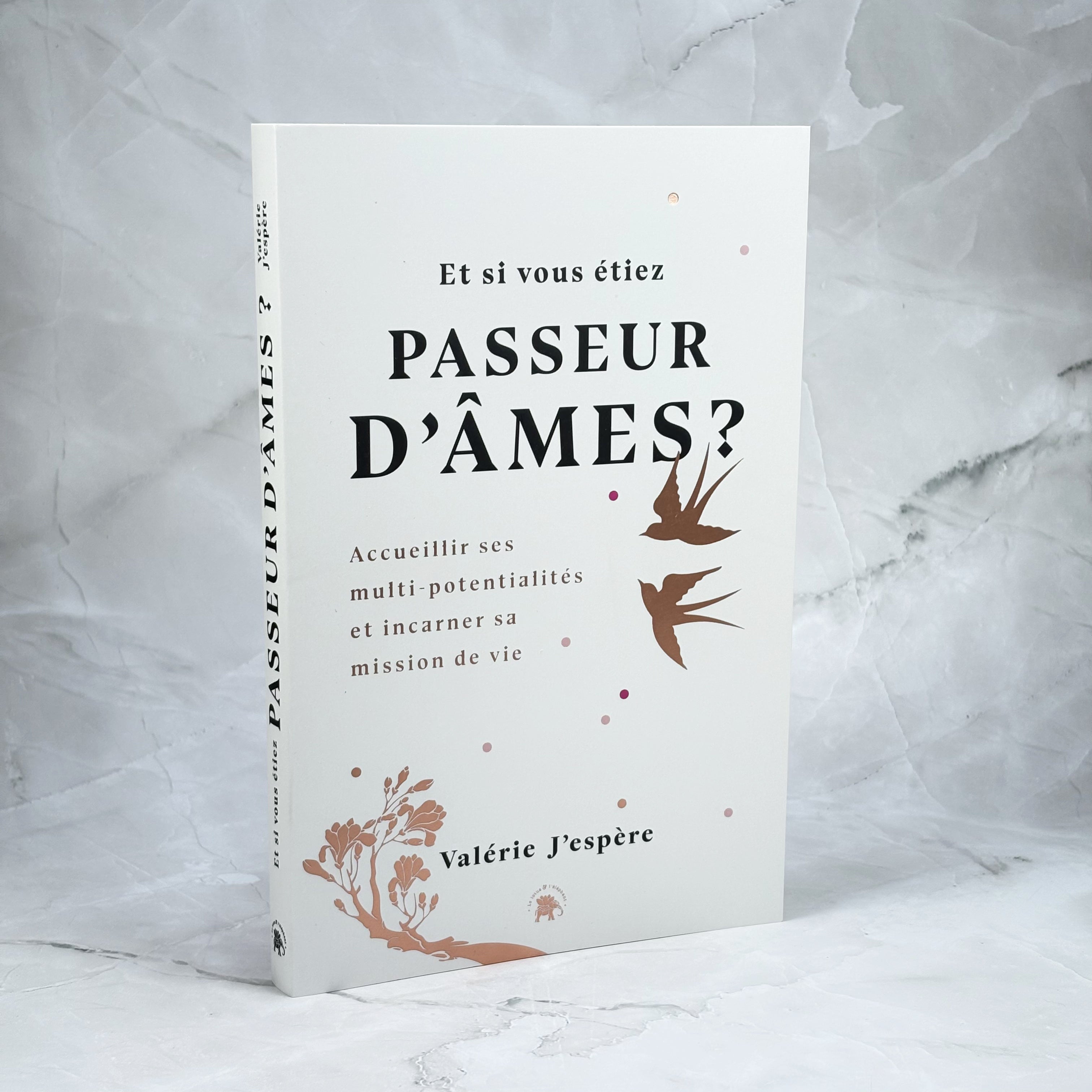 Et si vous étiez passeur d'âmes ?