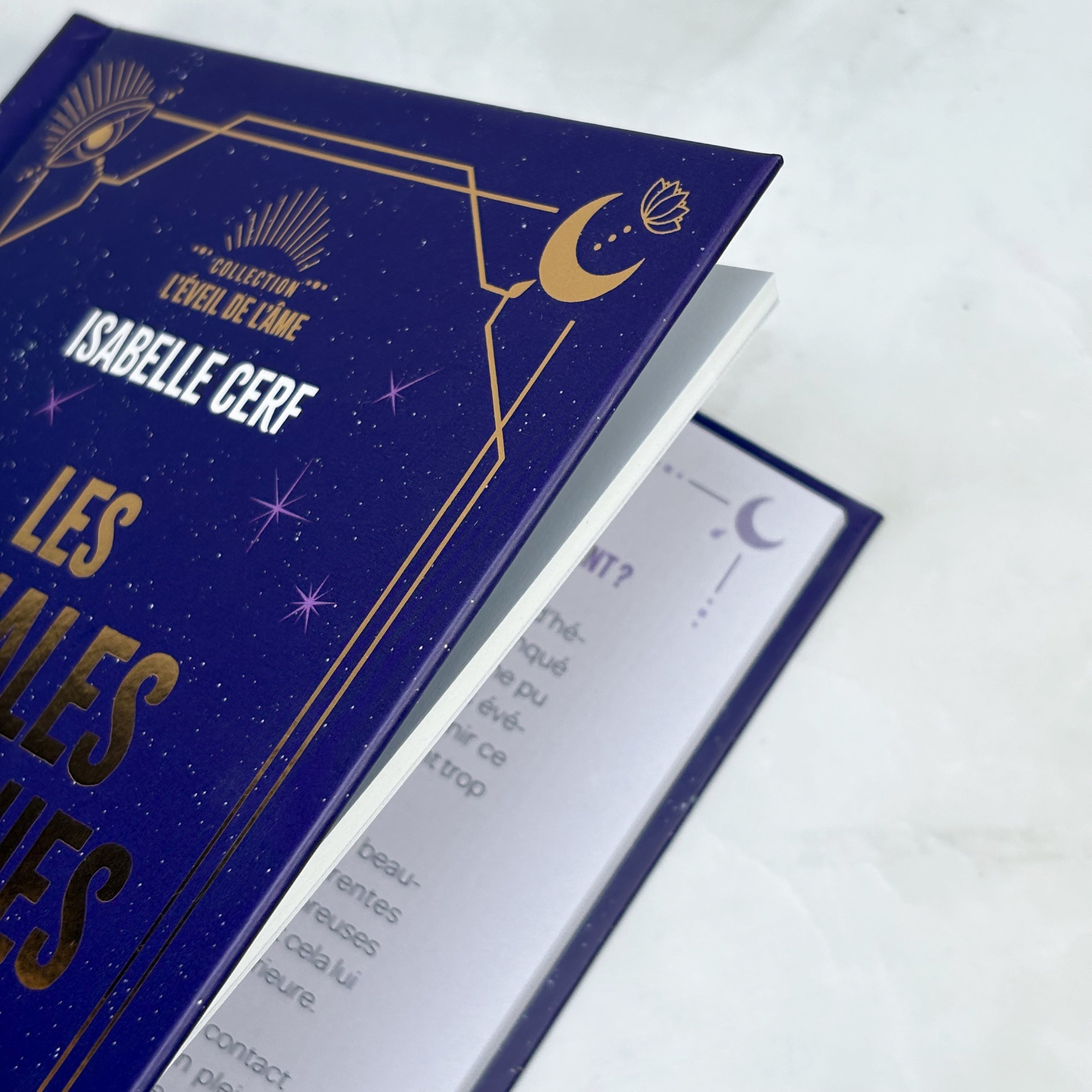Les annales akashiques - Découvrir les mémoires de l'Univers avec des exercices de connexion inédits