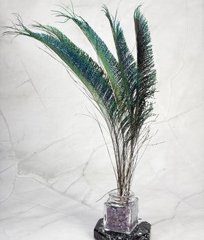Plume de paon épée