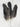 Petite plume de corbeau