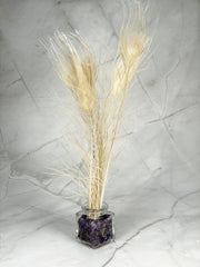 Witte pauwenveer
