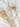 Plume de paon blanc