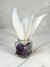 White Goose Feather