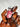 Huile magique Sang de Dragon