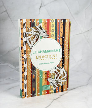 Le Chamanisme en action