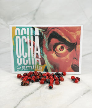 Graines Œil du Diable (pack x10)