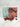 Graines Œil du Diable (pack x10)